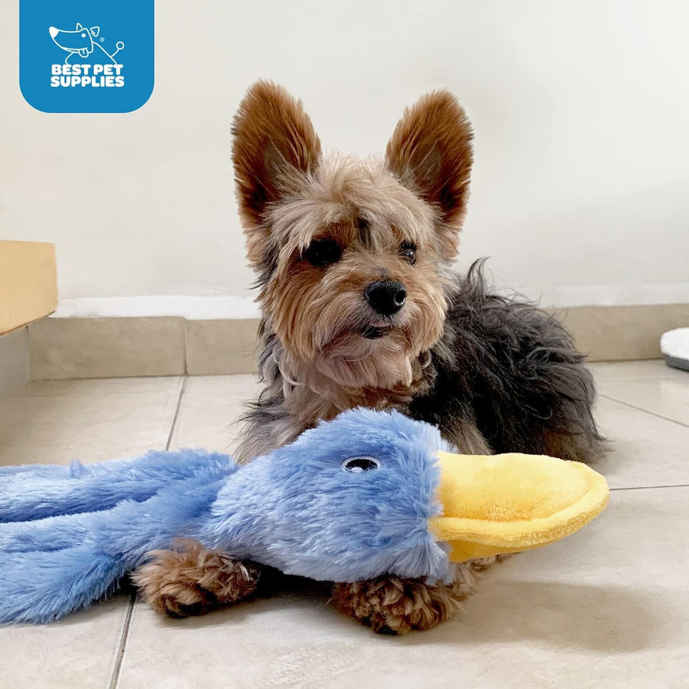 Best Pet Supplies juguete sonoro crujiente, perfecto para masticadores activos