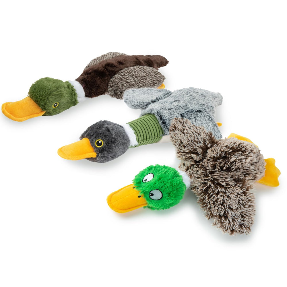 Best Pet Supplies Pato Mallard Interactivo, ideal para morder y jugar juntos.