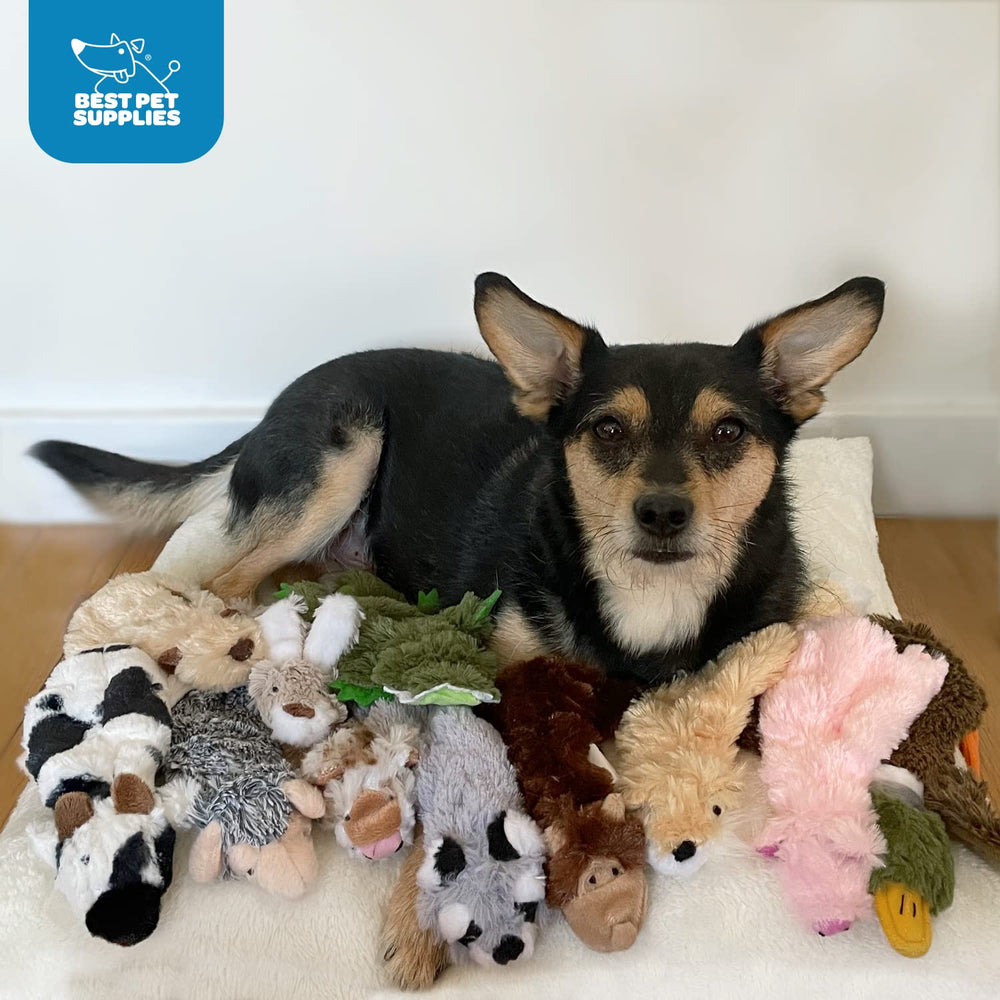 Best Pet Supplies Regalo para perros, pack de 4, juguetes divertidos para tu peludo.