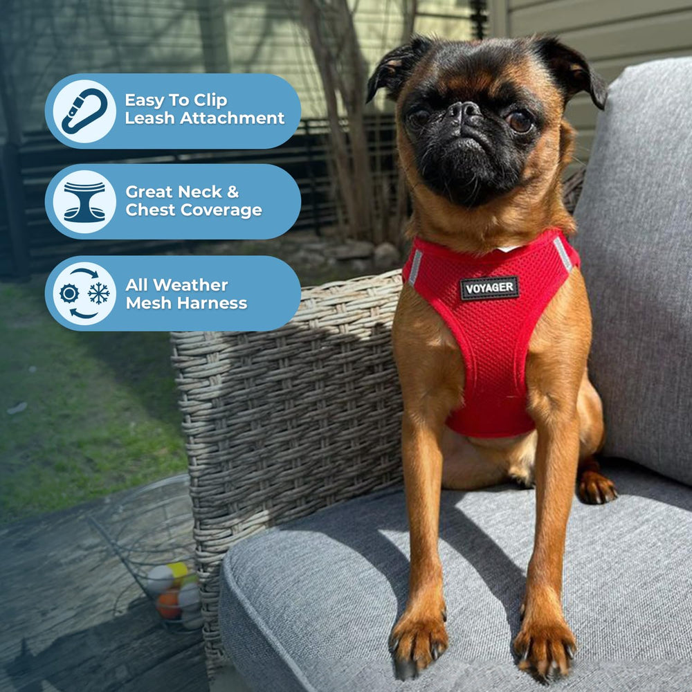 Best Pet Supplies Voyager arnés reflectante para mejor visibilidad