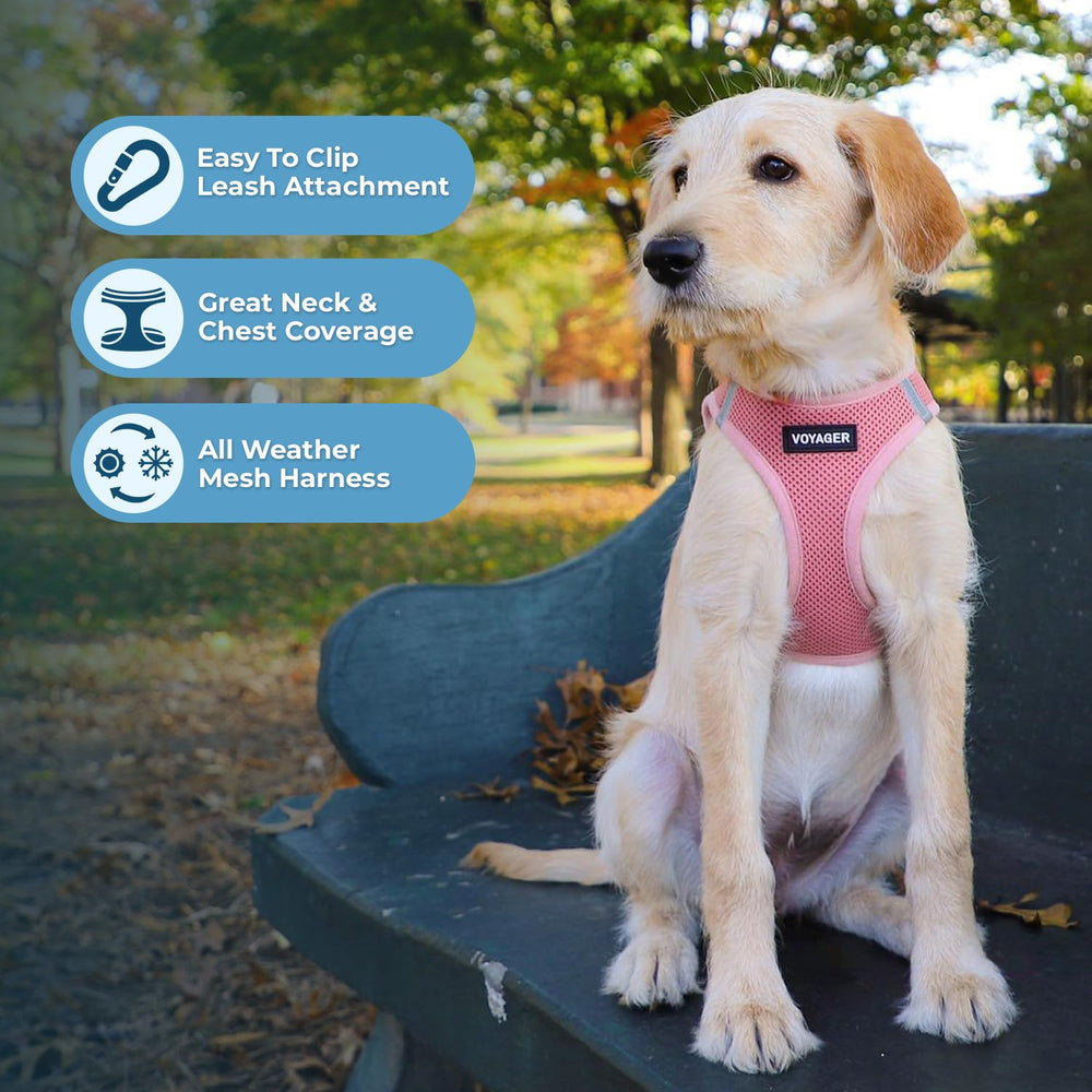 Best Pet Supplies Voyager ayuda para retirar pelos con rodillo, fácil limpieza