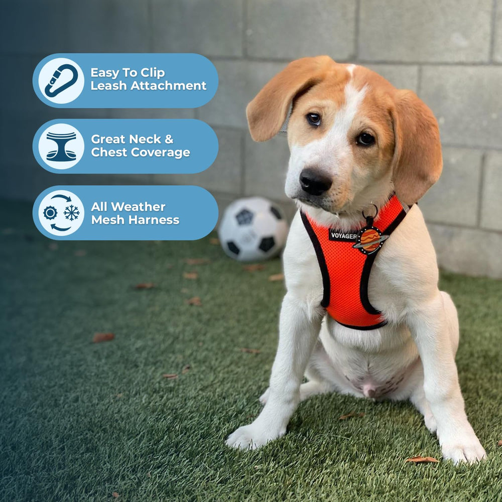 Best Pet Supplies Voyager bandas-reflectantes para mayor visibilidad nocturna.
