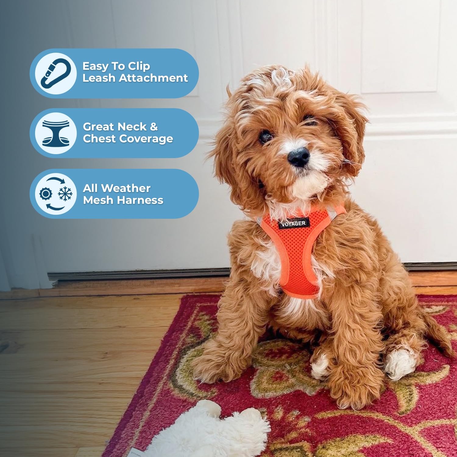 Best Pet Supplies Voyager cierre de gancho y bucle seguro