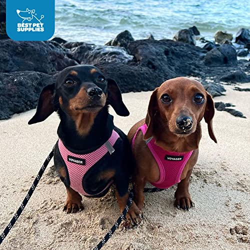 Best Pet Supplies Voyager color-fucsia-xl añade estilo visible en salidas diarias.