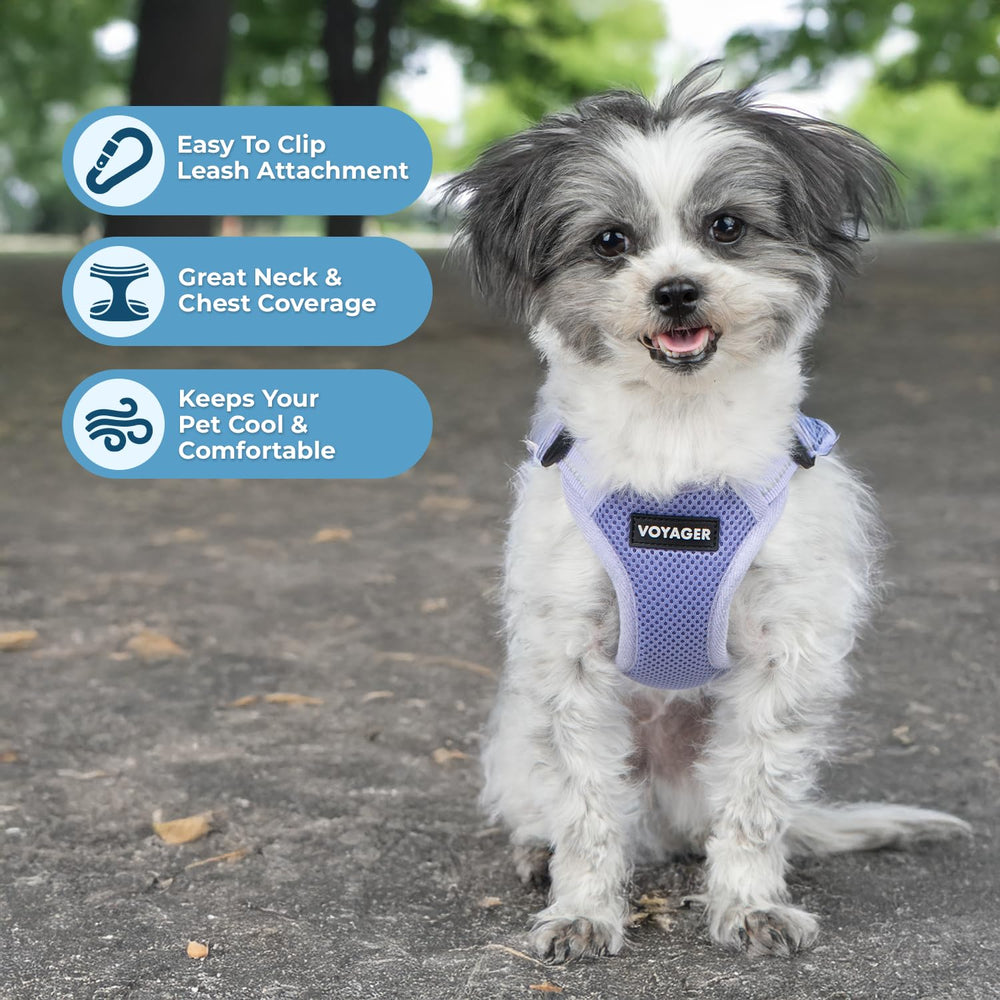 Best Pet Supplies Voyager: guía de medición imprimible para talla perfecta sin conjeturas.