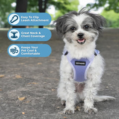 Best Pet Supplies Voyager: guía de medición imprimible para talla perfecta sin conjeturas.