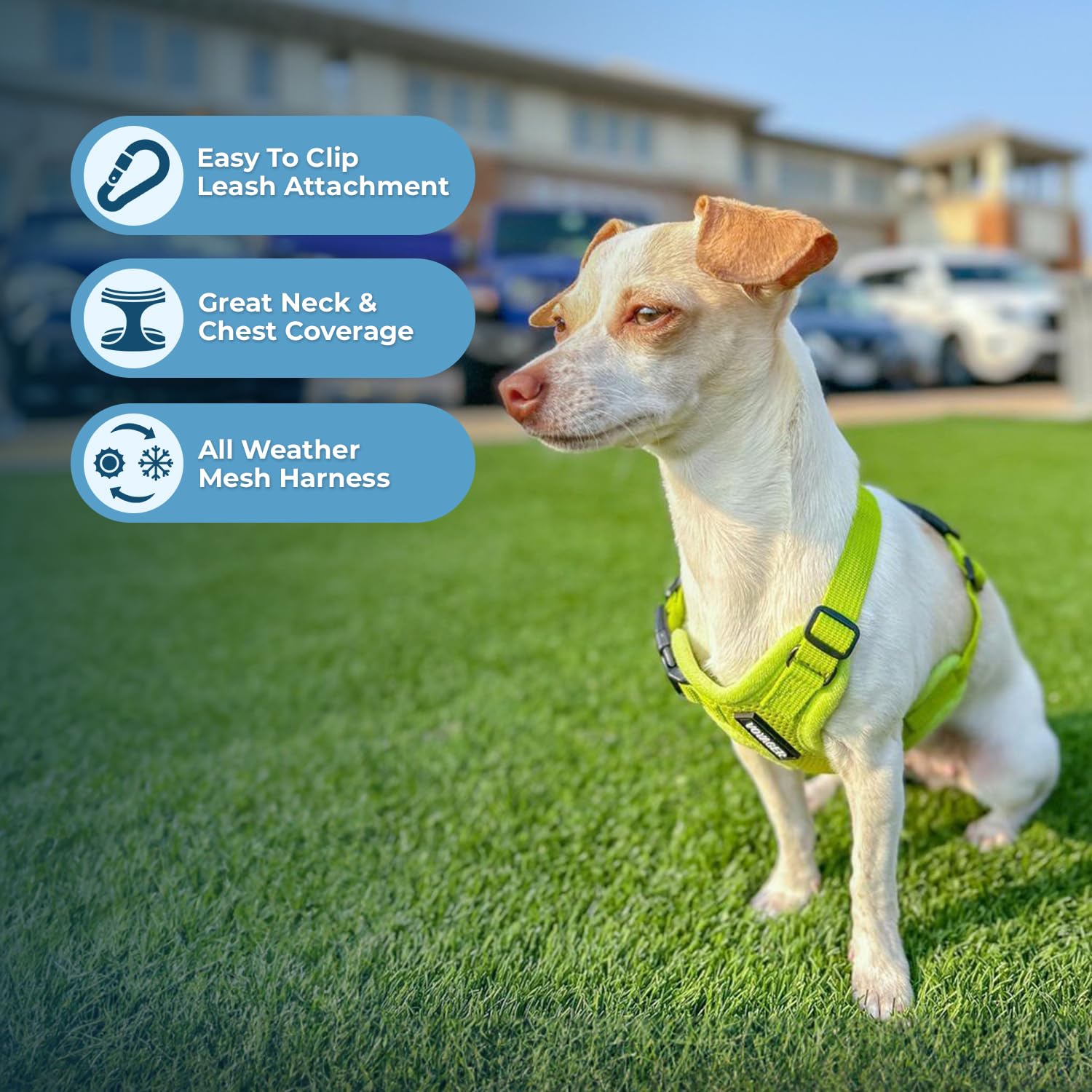 Best Pet Supplies Voyager Harnais bandes réfléchissantes pour meilleure visibilité nocturne