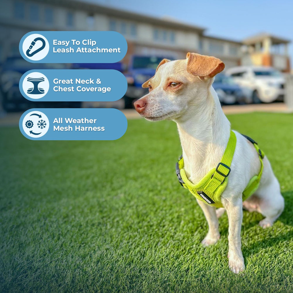 Best Pet Supplies Voyager Harnais bandes réfléchissantes pour meilleure visibilité nocturne