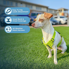 Best Pet Supplies Voyager Harnais bandes réfléchissantes pour meilleure visibilité nocturne