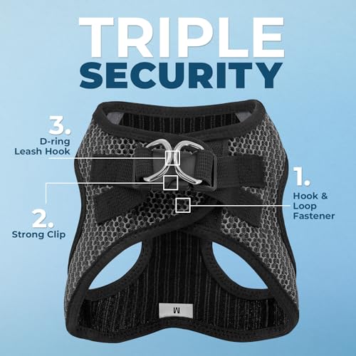 Best Pet Supplies Voyager Harnais vue côté droit, profil léger.