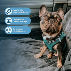Best Pet Supplies Voyager harnais double D-rings pour sécurité renforcée