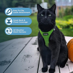 Fermeture sécurisée et double D-rings sur le harnais Best Pet Supplies Voyager.