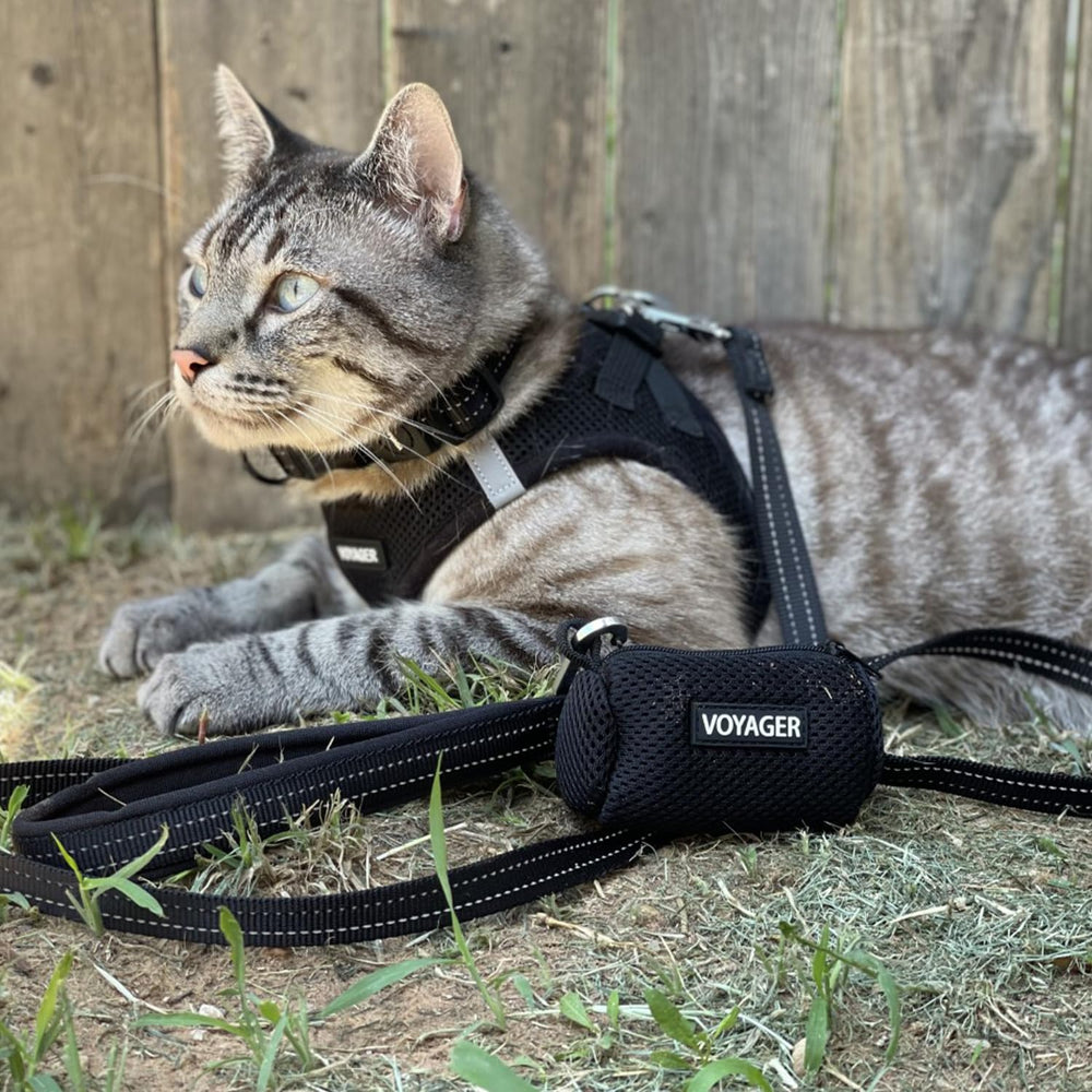 Best Pet Supplies Voyager harnais-guide-tailles: ajuste precis pour confort.