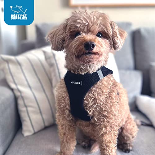 Voyager Best Pet Supplies harnais-securite-triple, protection complète.