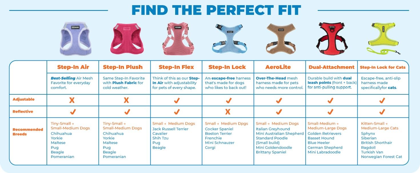 Best Pet Supplies Voyager comodo para perros y gatos en todas las estaciones