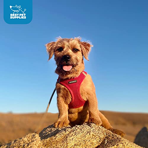 Best Pet Supplies Voyager arnés de malla suave para climas cálidos