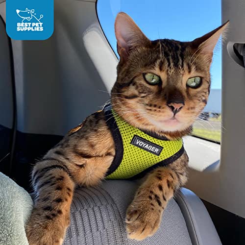 Best Pet Supplies Voyager paseo seguro con clip y broches