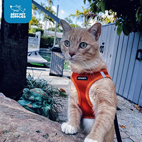 Arnés Voyager de Best Pet Supplies, color naranja vibrante para mayor visibilidad.