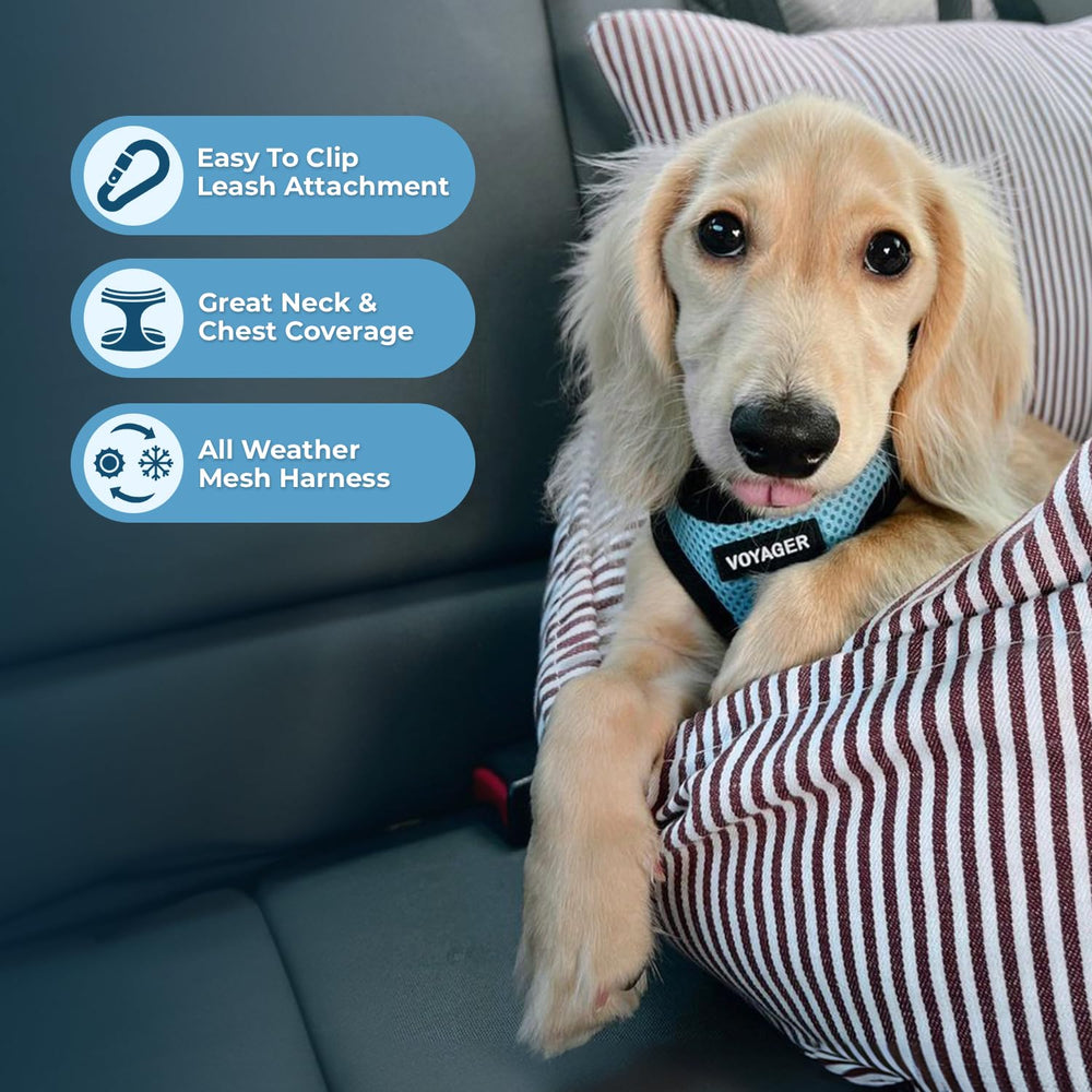 Best Pet Supplies Voyager Step-in Air, bandes reflechissantes, meilleure visibilite nocturne.