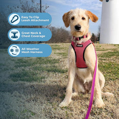 Best Pet Supplies Voyager Step-in Air harnais avec boucles et anneaux doubles.