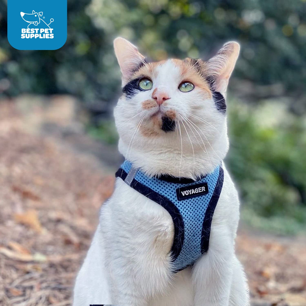 Best Pet Supplies Voyager Step-in Air, matiere respirante et legere pour le confort.