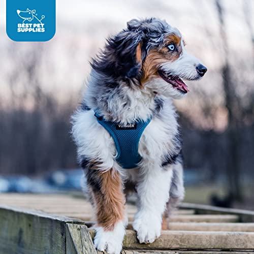 Voyager Step-in Air azul, cómodo para perros y gatos durante salidas.