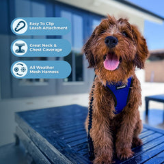 Best Pet Supplies Voyager arnés con cierres y bucle para seguridad confiable.