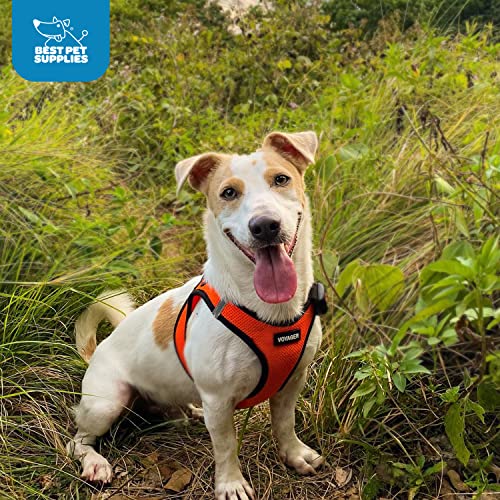 Best Pet Supplies Voyager Step-in Air Harness fácil de poner para paseos rápidos y diarios.