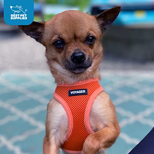 Best Pet Supplies Voyager Step-in Air Harness fácil de colocar
