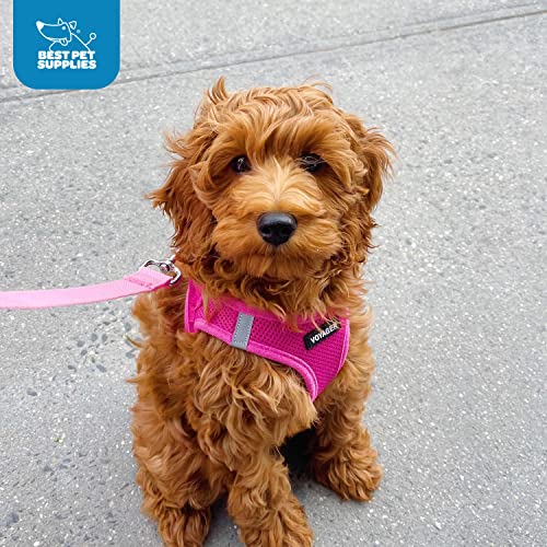 Best Pet Supplies Voyager Step-in Air Harness paseo diurno y nocturno con buena visibilidad