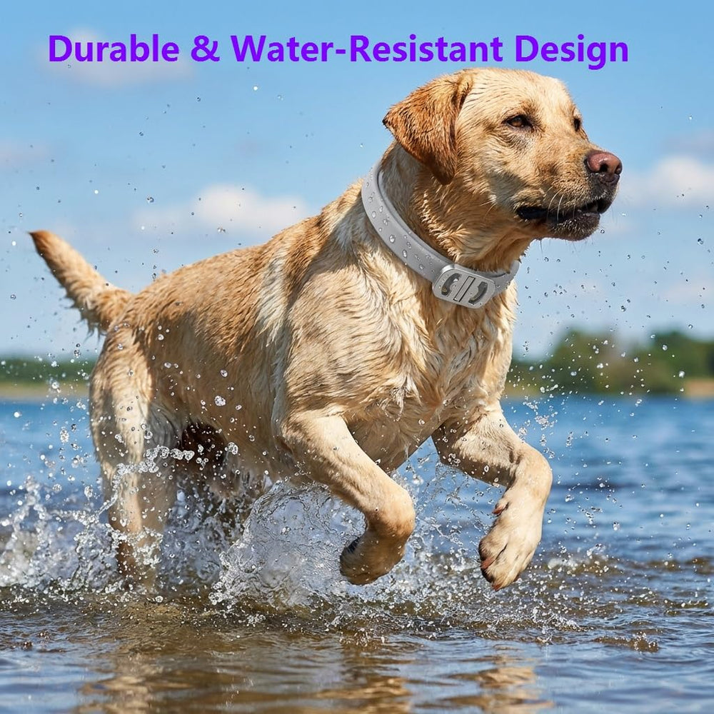 Diseño resistente al agua del collar BestHoby para baños o días de lluvia