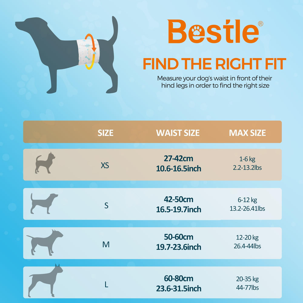 Pañal BESTLE para perro macho: absorbente alto para mantener al perro seco