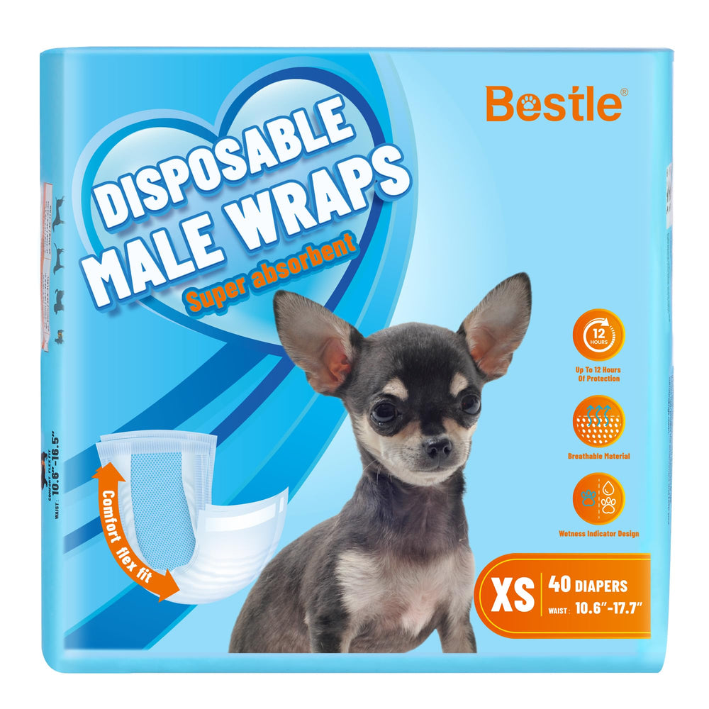 Pañal BESTLE para perro macho: ajuste-confort para protección sin fugas durante paseos