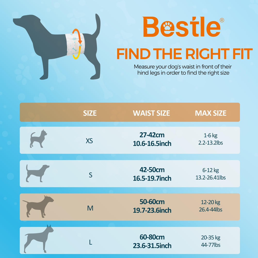 Pañal BESTLE con alta absorción para mantener seco al perro.