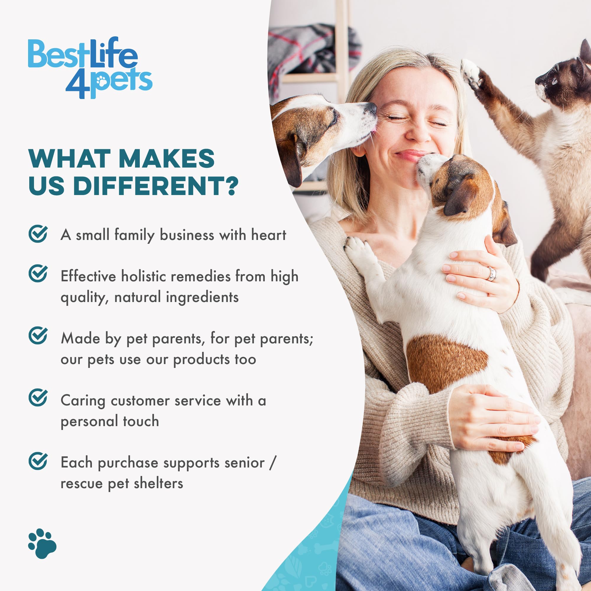 Gato con aliento fresco y encías más cómodas gracias a BestLife4Pets
