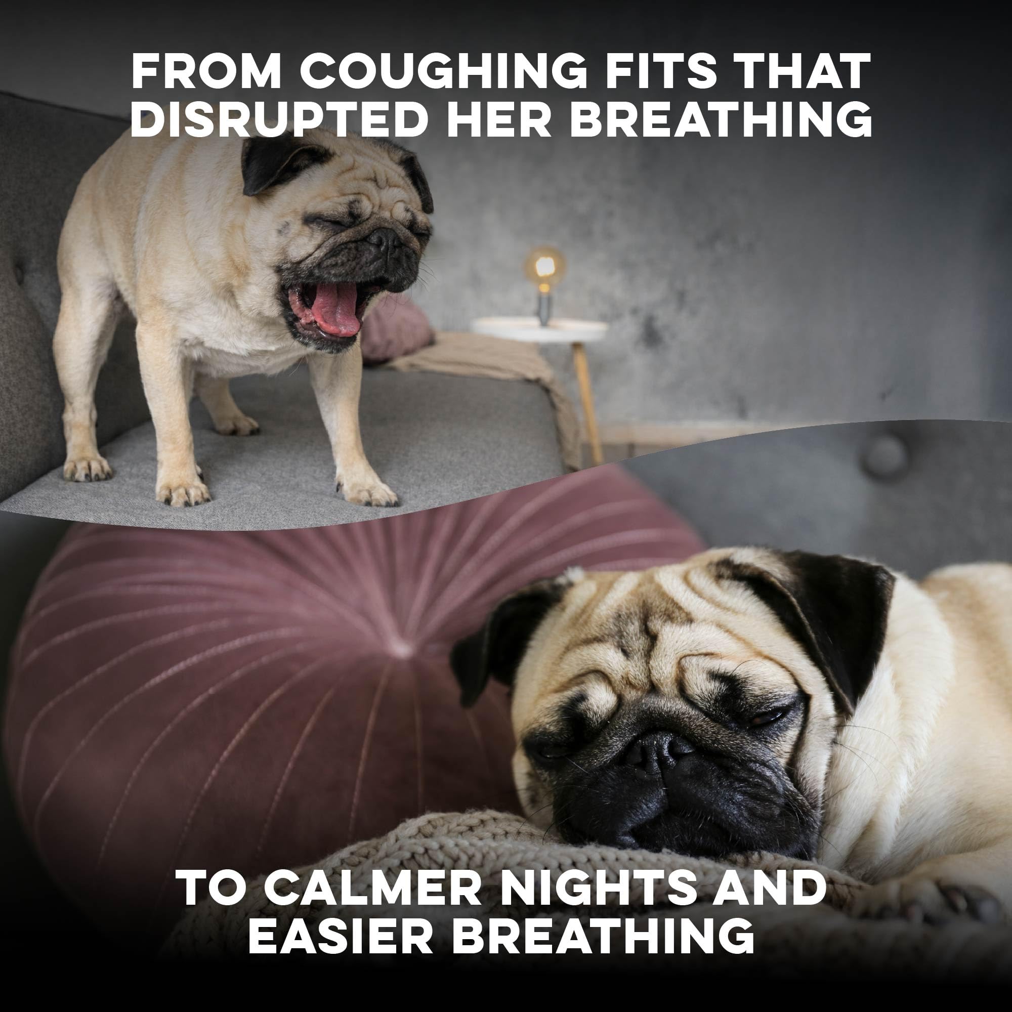 BestLife4Pets Breathe Easy: disolver en agua para microdosificación.