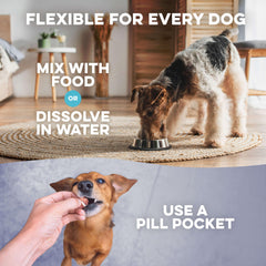 BestLife4Pets Breathe Easy: dosis pequeñas para facilitar la administración.