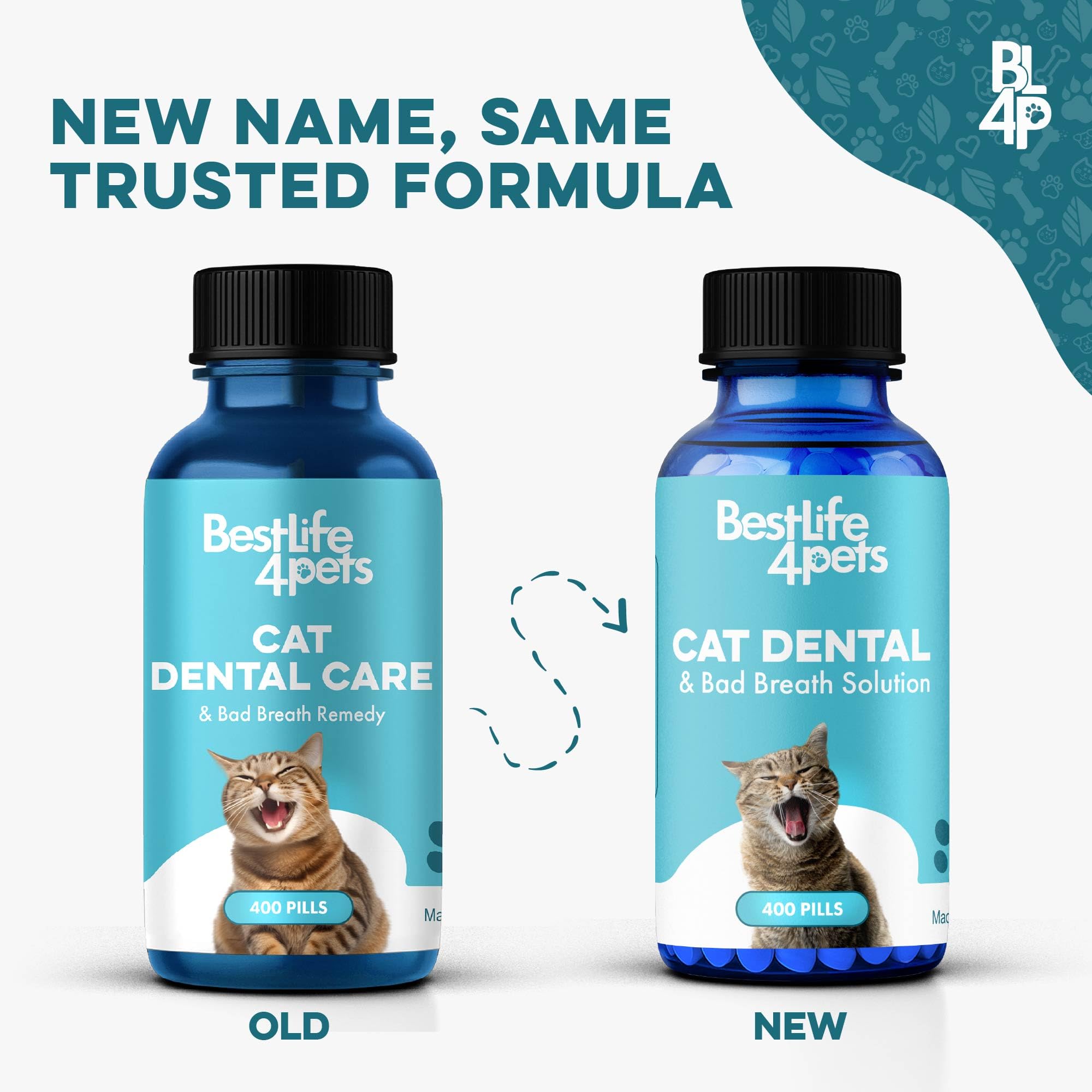 Gato come comida con pastillas disolubles sin sabor de BestLife4Pets