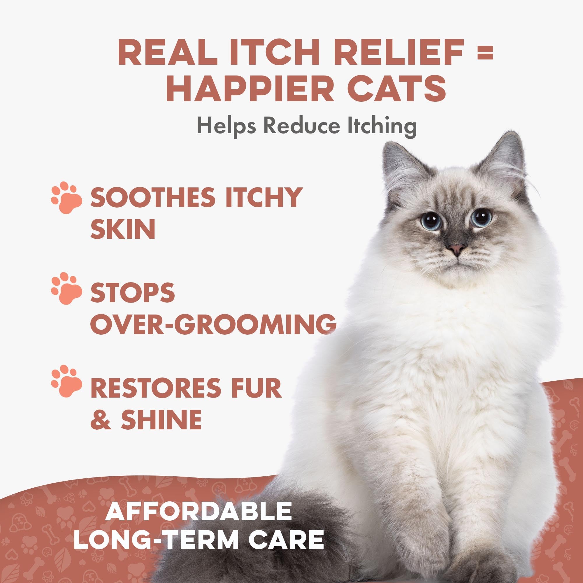 Pelo suave y brillante en gatos gracias a BestLife4Pets.