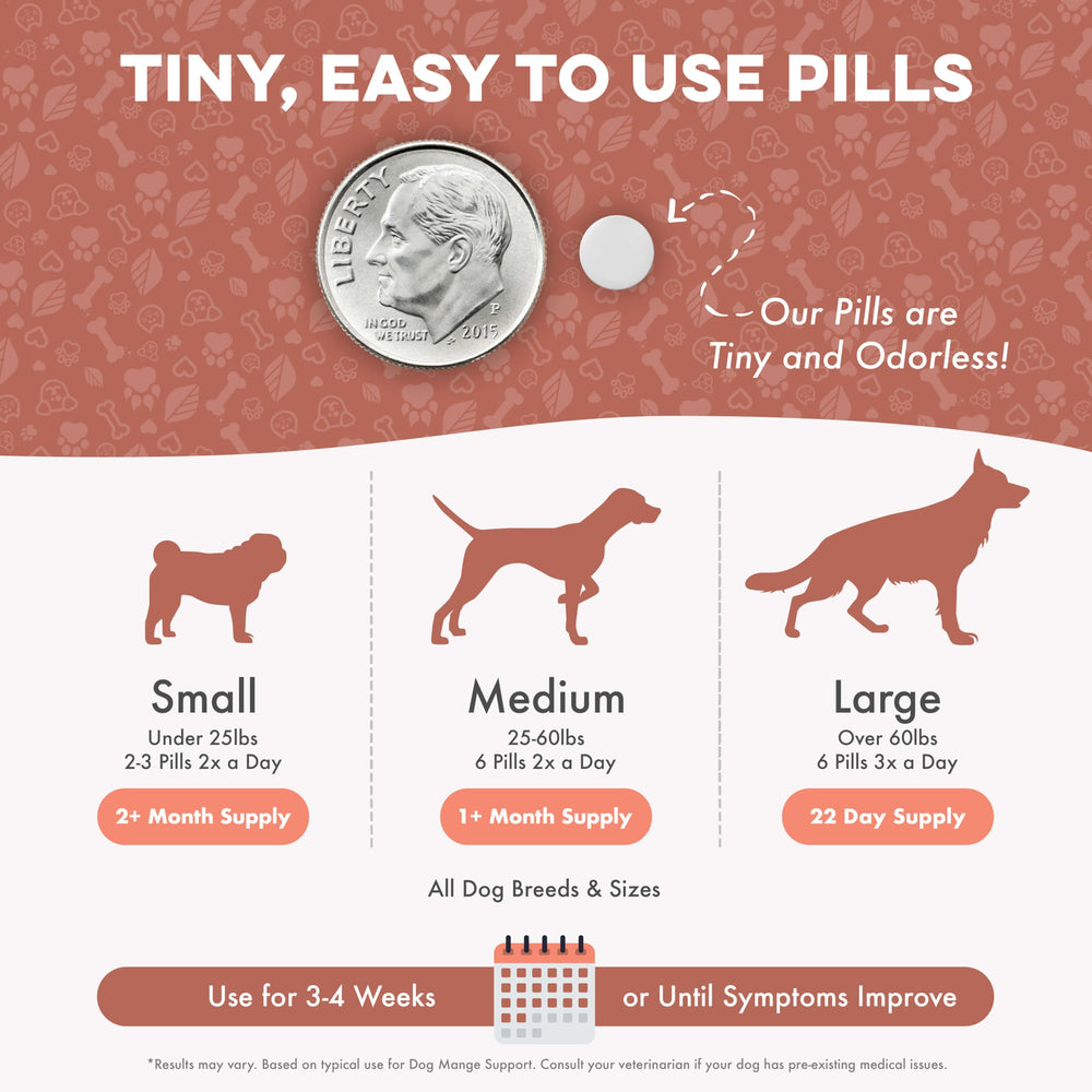 BestLife4Pets Fórmula natural: gluten free y no-GMO para bienestar del perro.