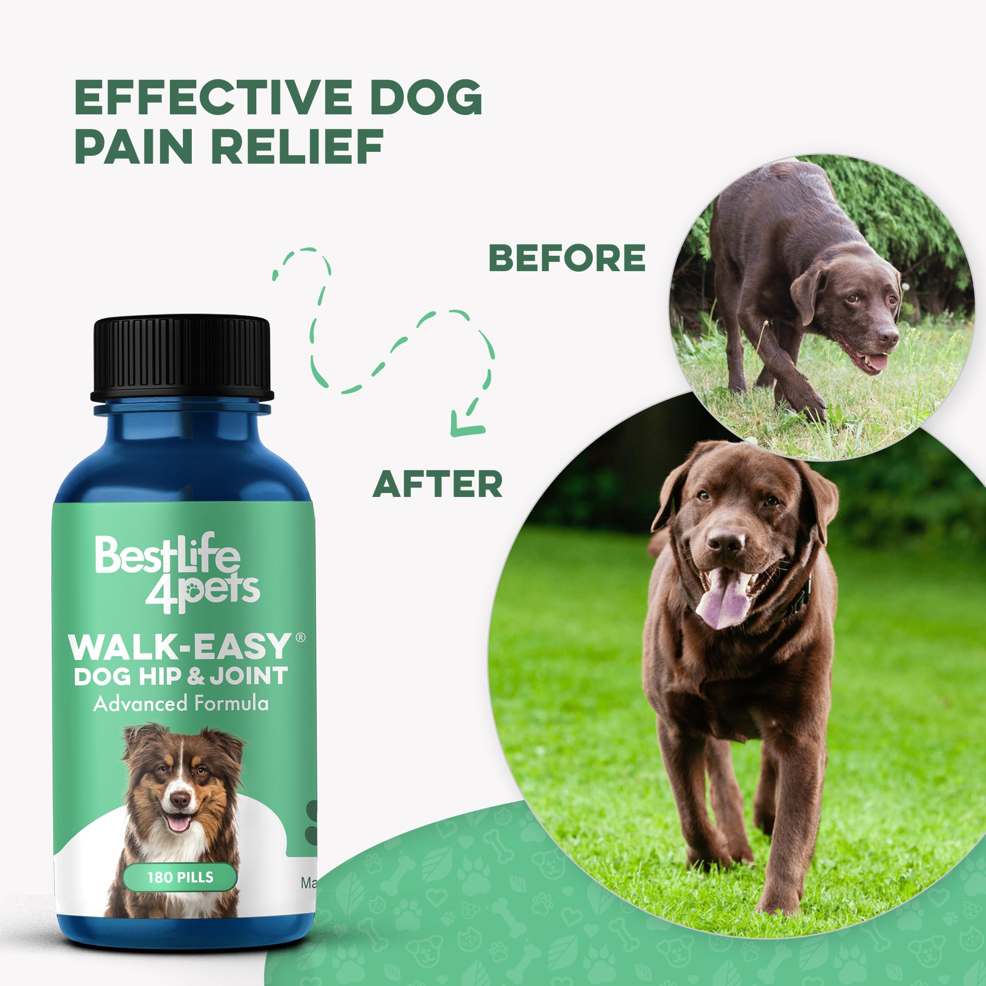 Perro jugando en parque con BestLife4Pets, actividad y alegría