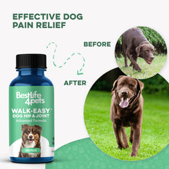 Perro jugando en parque con BestLife4Pets, actividad y alegría