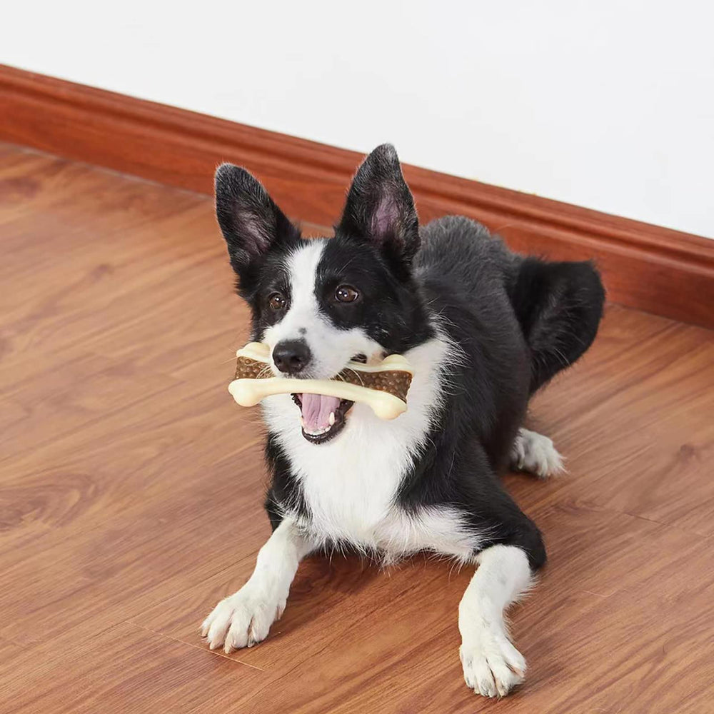 BETTEPROD adecuado para perros de todos los tamaños, promueve distracción positiva.
