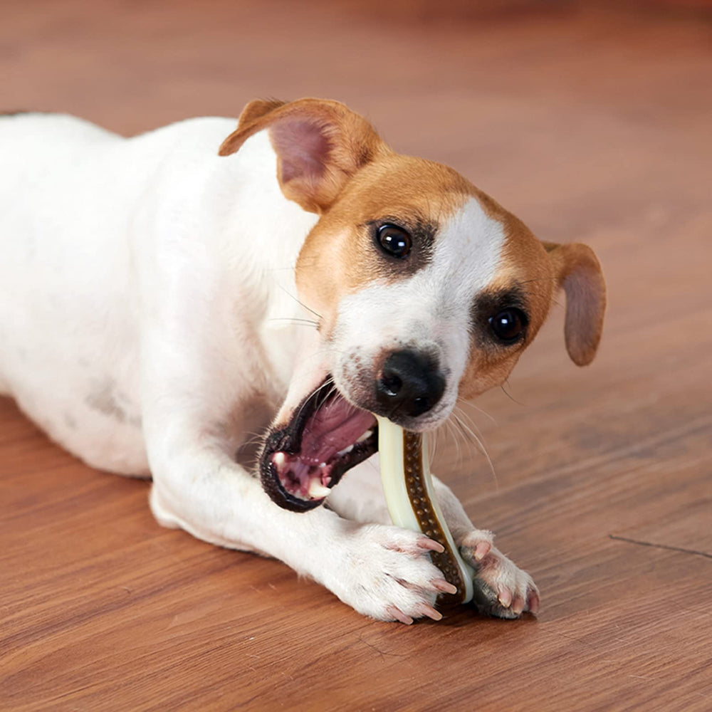 BETTEPROD juguete masticar mediano duradero ideal para perros medianos activos.