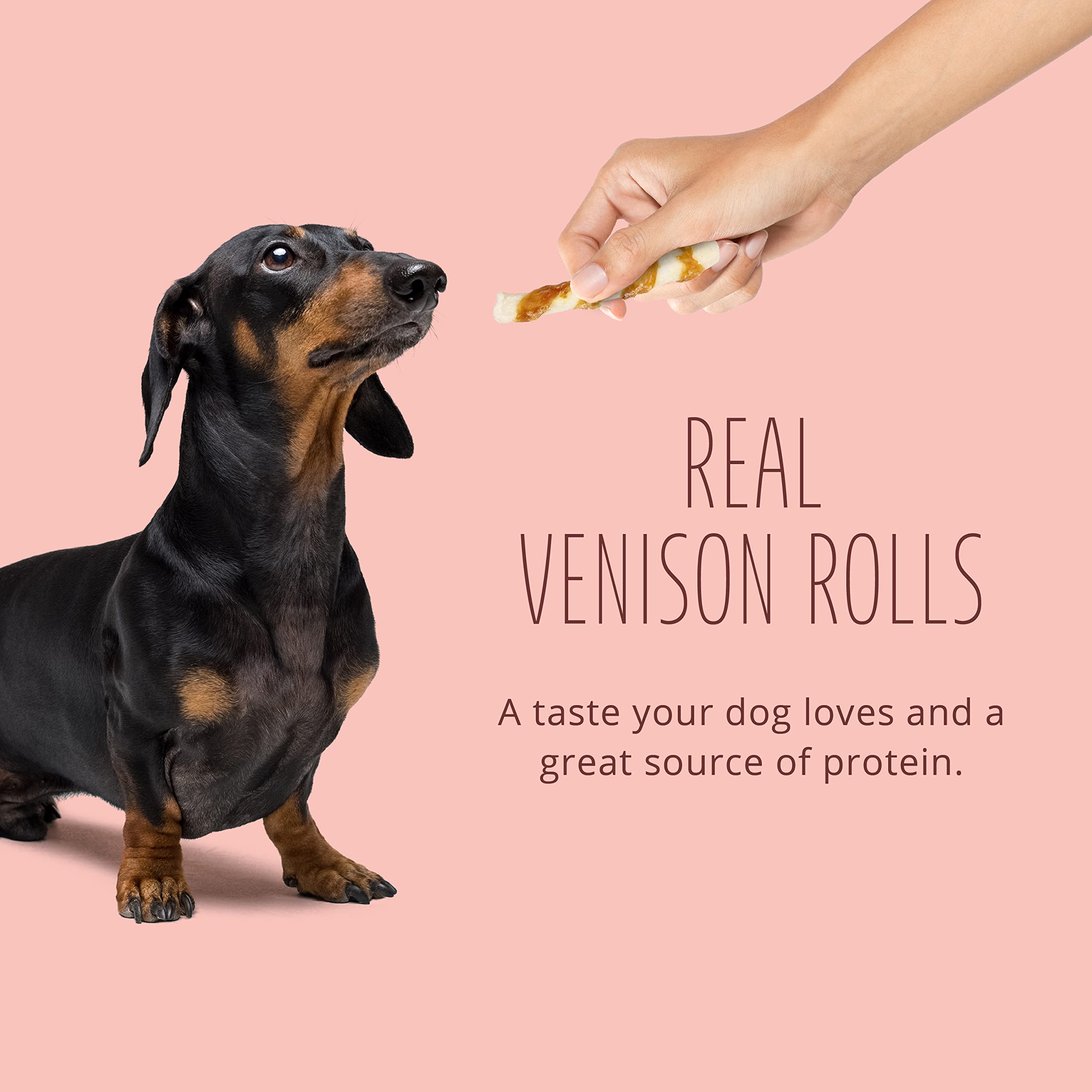 Better Belly no-grain gluten-free chew graphic; easy digestibility.