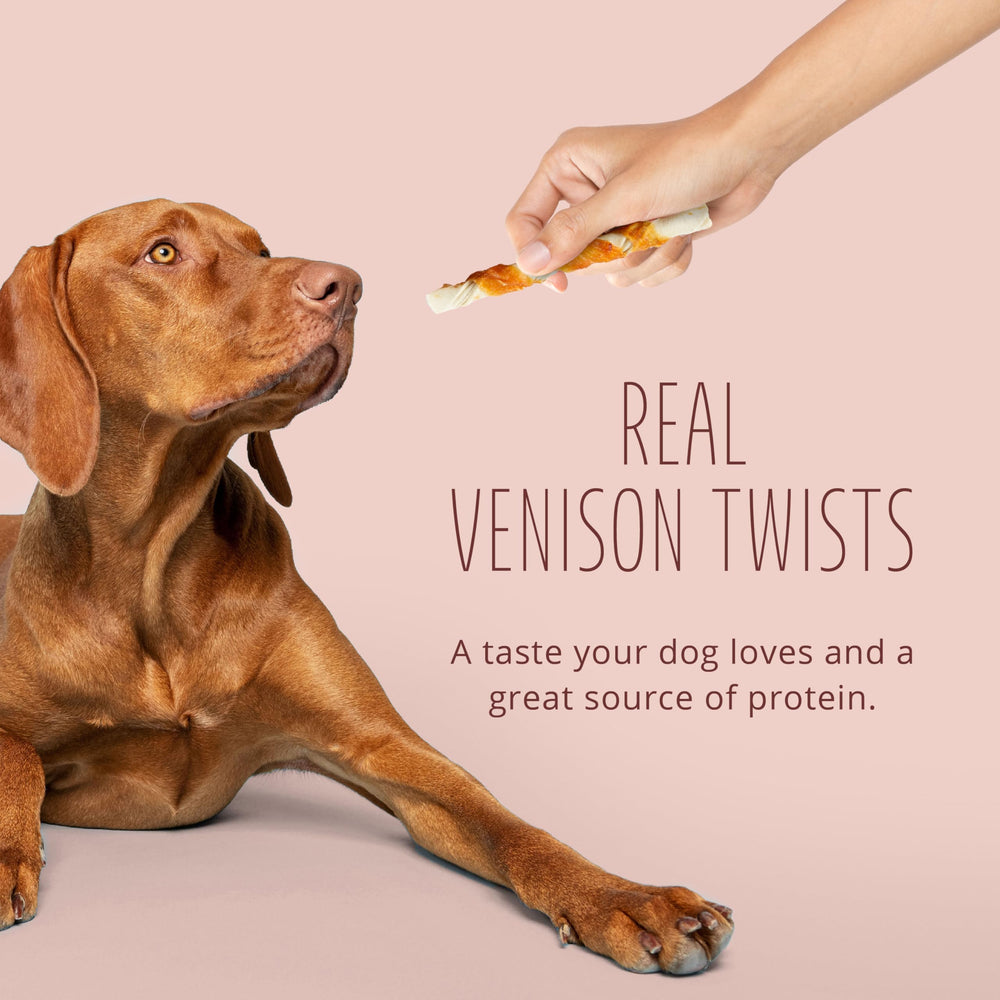 Better Belly sans gluten ni céréales ajoutées pour chien sensible.