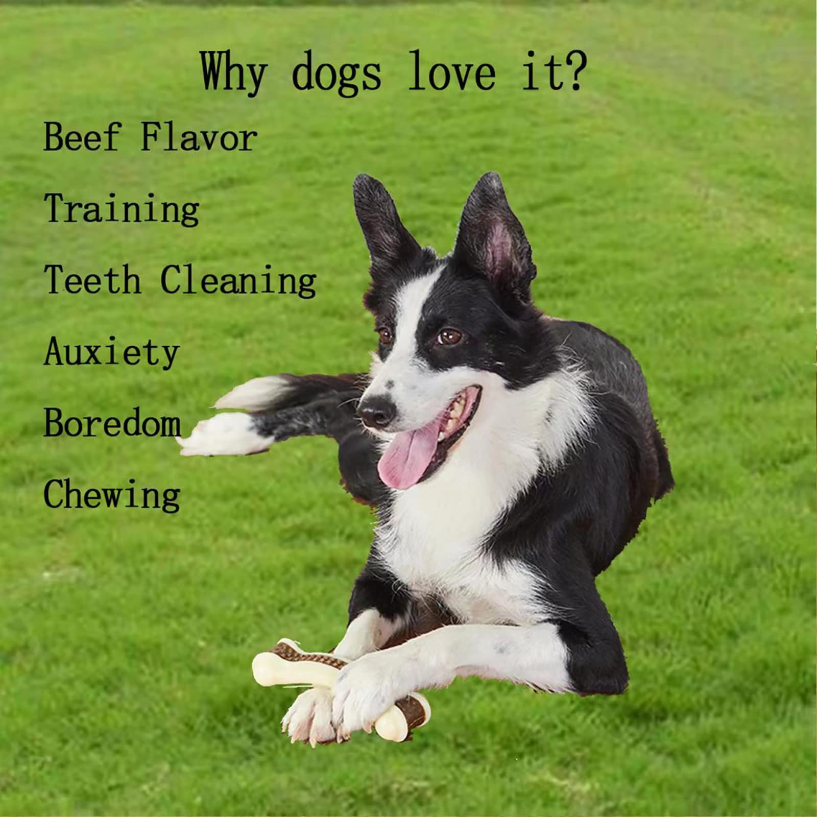 BETTEPROD Paquete de 3 huesos con sabor carne para perros
