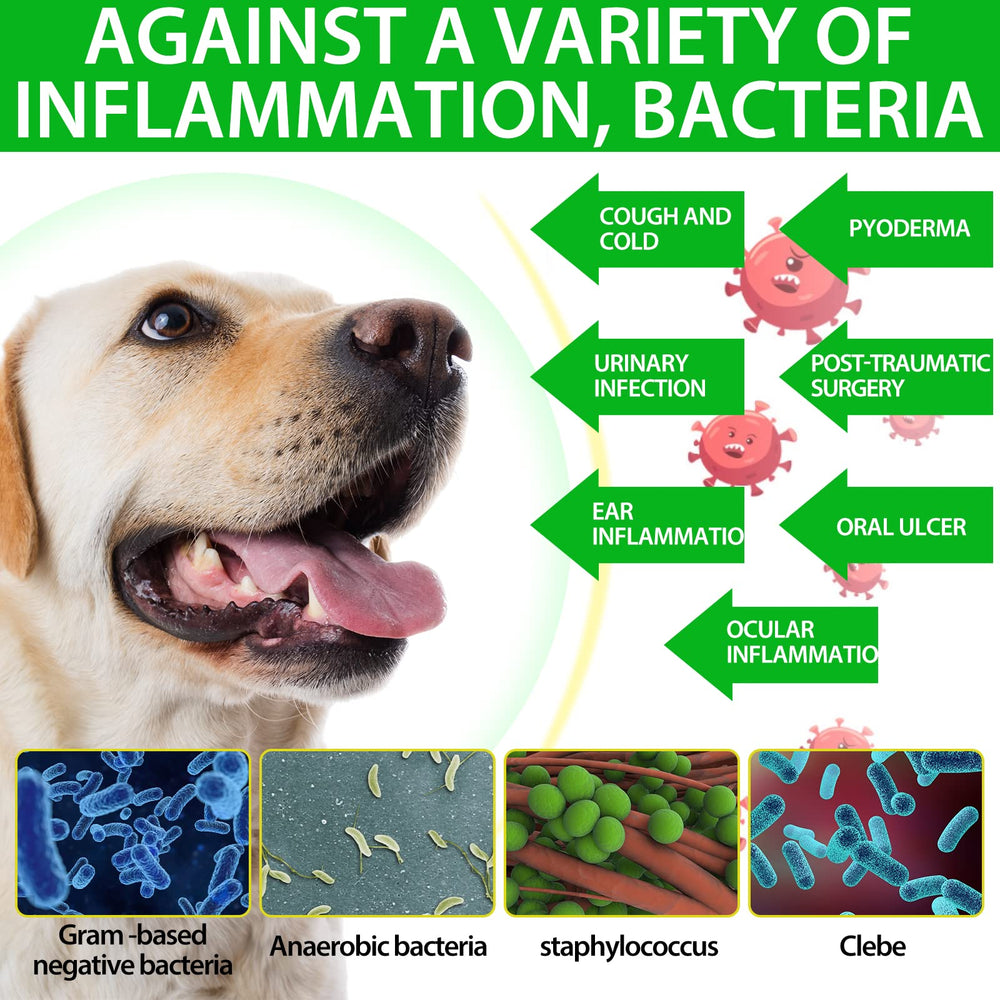 Beyxdu antibiótico natural para perros: ingredientes herbales