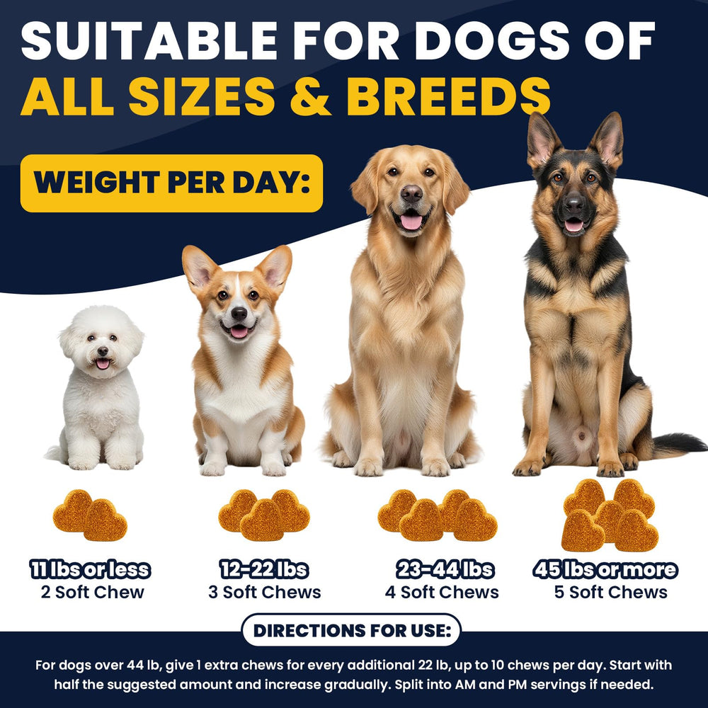 BFDEREN fórmula sin maíz, soja ni trigo para perros sensibles.