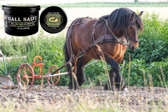 Zona con llaga en caballo cubierta por Bickmore Gall Salve.